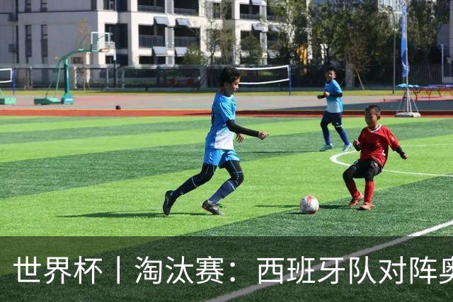 世界杯丨淘汰赛：西班牙队对阵奥地利队